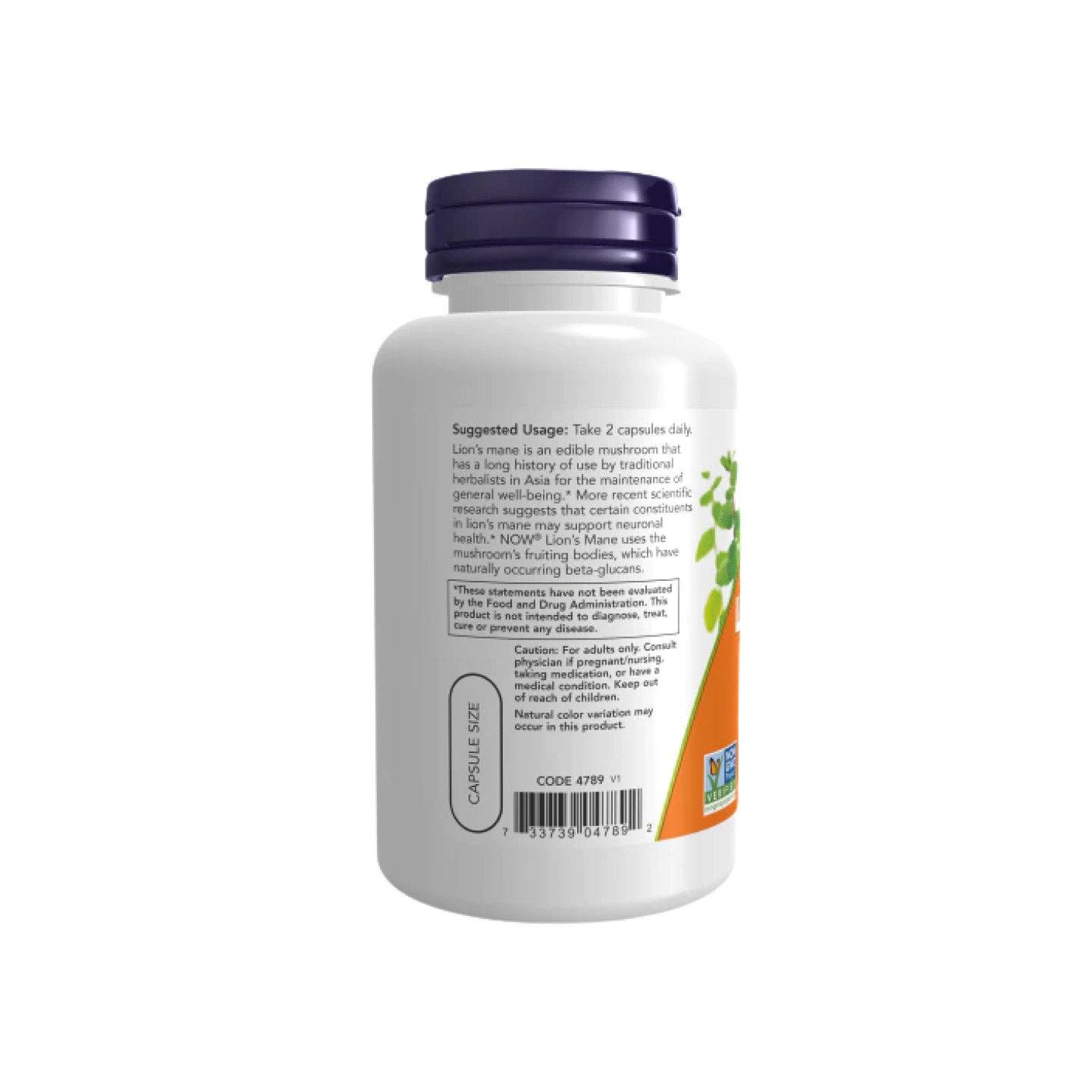 Melena de León organico 500 mg (60 Veg Caps)